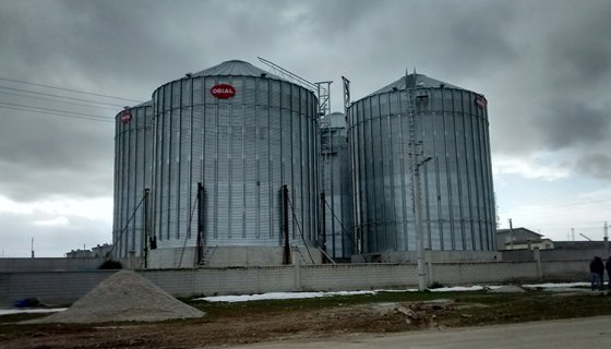 HAFIZOĞLU